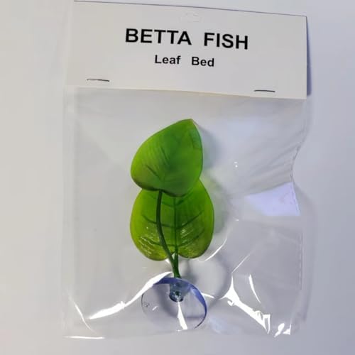 DODOAQUA two pieces green betta fish resting leaves packaging demonstration