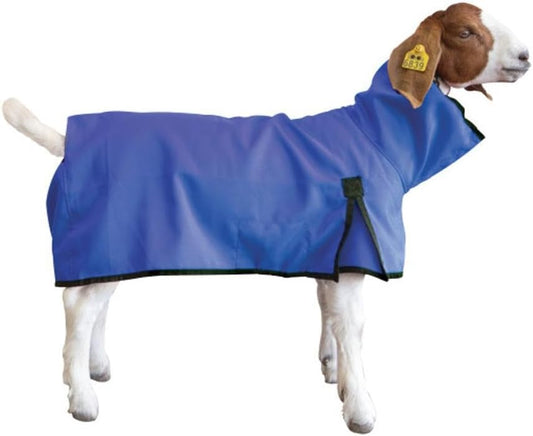Weaver Leather durable rip resistant purple goat blanket showing belly band d ring detail