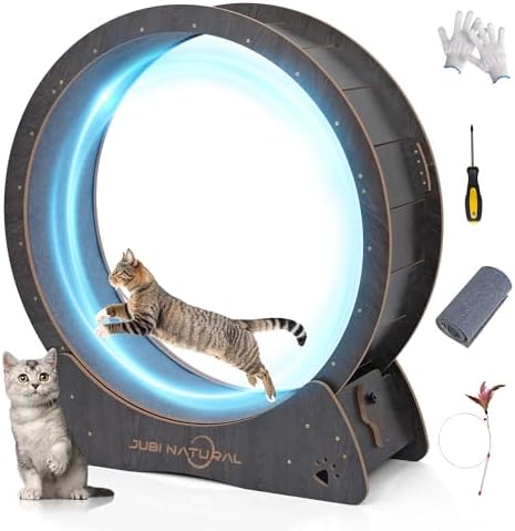 Black wooden cat running wheel with quiet carpet track