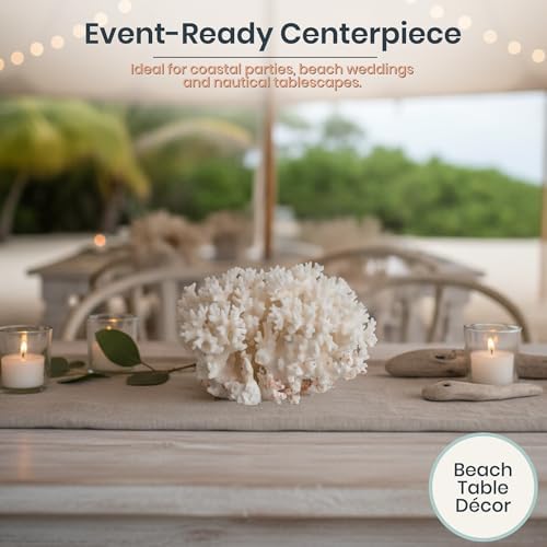 Packaging view of the natural white lace coral with the included nautical digital book