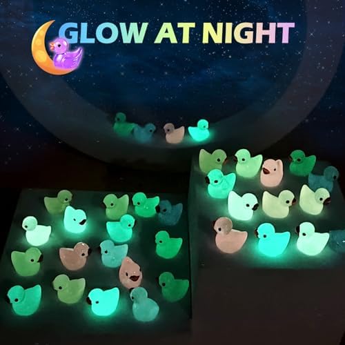 BOOJALOO luminous mini resin ducks used as creative charms inside a clear aquarium tank