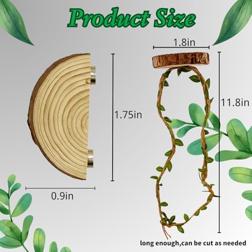 Jumping Spider Enclosure Accessories Kit, Habitat Decor-3 Wood Ledges & 1 Climbing Rope - Image 7