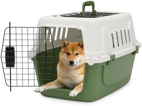 Athena Collection plastic dog crate top view displaying the open top loading door access.