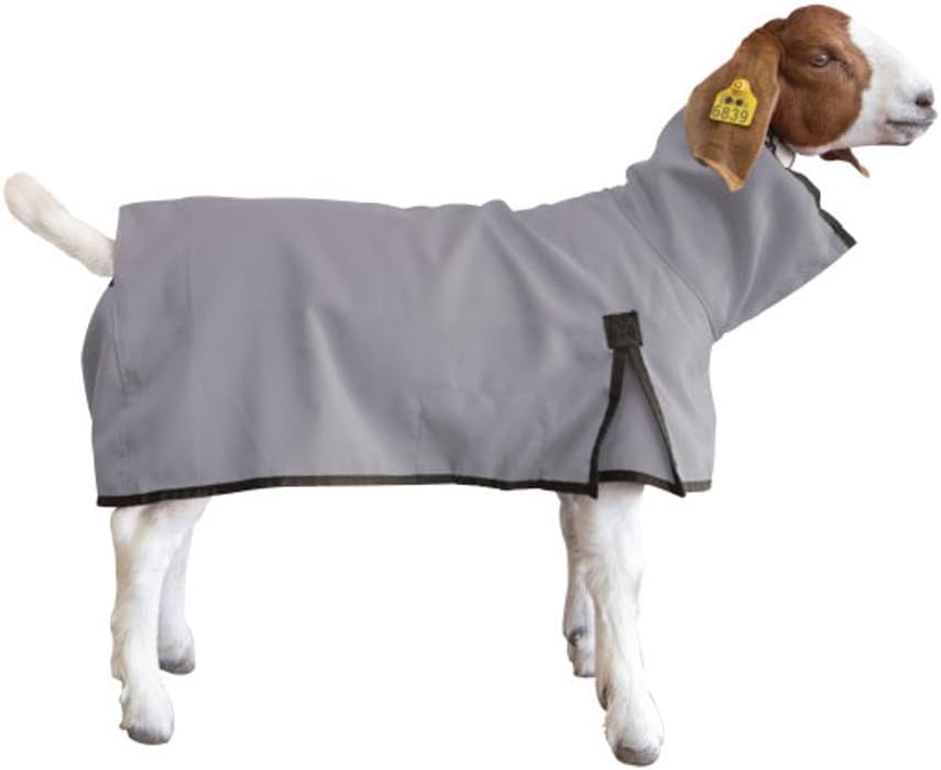 Weaver Livestock breathable 1000 denier purple coat for show goats side view