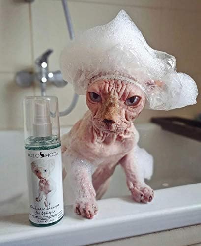Kotomoda premium imported skincare for hairless cat breeds