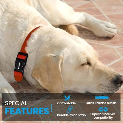 Gracie To The Rescue training collar strap flat layout