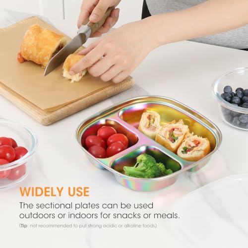 Aieve rainbow stainless steel plate showing food compartment layout