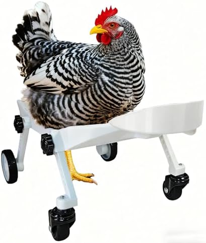 Product packaging and disassembled components of the ANIMOASIS pet chicken mobility cart showing easy installation parts.