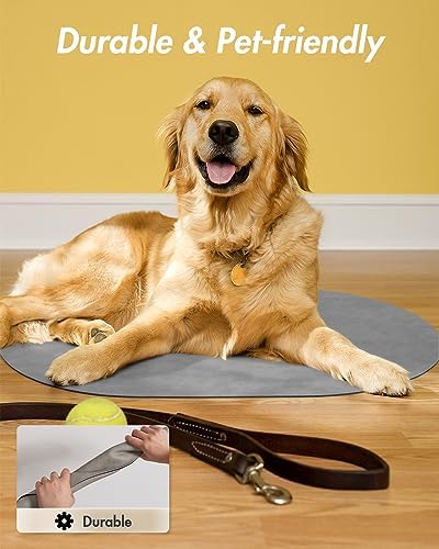 MontVoo Dog Placemat in use with pet bowls