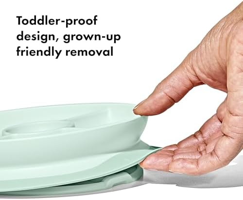 Top down view of OXO Tot suction plate with divided food sections