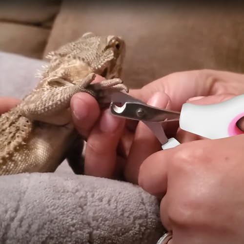 Authentic KEUYE imported reptile maintenance accessory for safe nail care