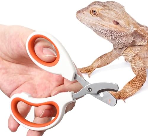 Stainless steel lizard nail scissors close up showing the sharp curved cutting blade.