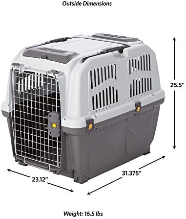 Top angle view of the hard-sided plastic pet carrier showcasing the fold-down handle and storage compartment