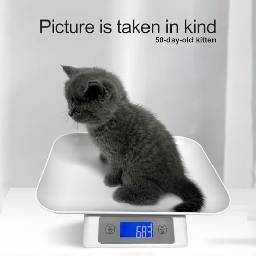 Packaging box of the authentic imported MINDPET-MED small animal digital scale
