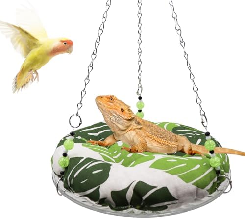 Bearded dragon resting on a green leaf print reptile hammock