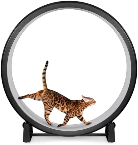 One Fast Cat pet treadmill side angle showing forty eight inch diameter wheel setup