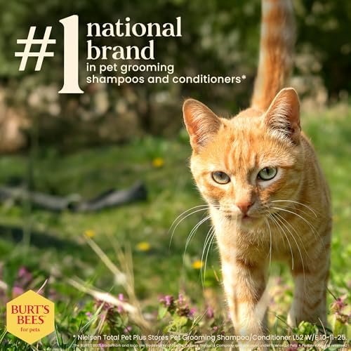 Burt's Bees for Pets waterless cat shampoo spray packaging lifestyle view