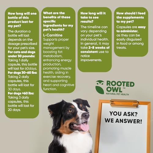 Rooted Owl weight management support for pet vitality