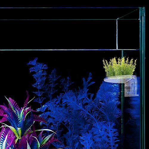 SLSON clear acrylic ledge installed inside an underwater aquarium landscape