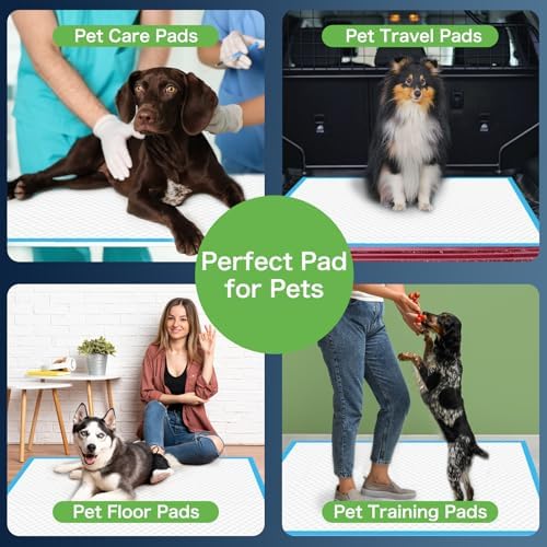 Bulk packaging box of MILDPLUS moderate absorbent underpads for family care.