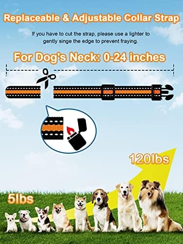 Two dogs wearing Bousnic training collars outdoors