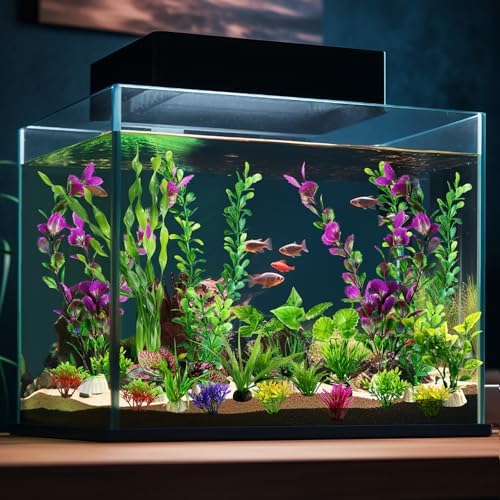 Complete packaging view of the 22 piece premium imported aquarium decoration product line.