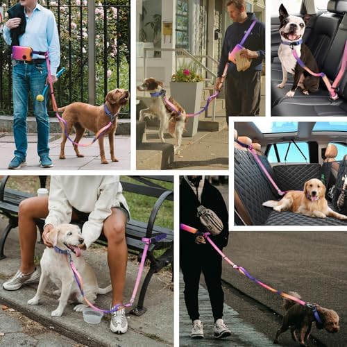 Heavy duty alloy swivel clip on weather resistant nylon dog walking belt.