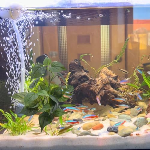 M2cbridge green foreground fish tank landscaping plant packaged single piece