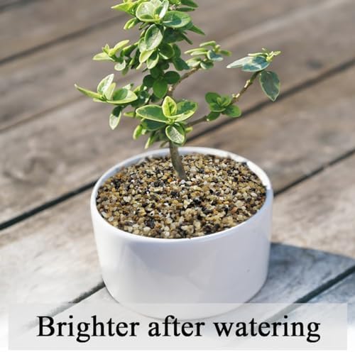 Fantian natural pea gravel for terrarium substrate
