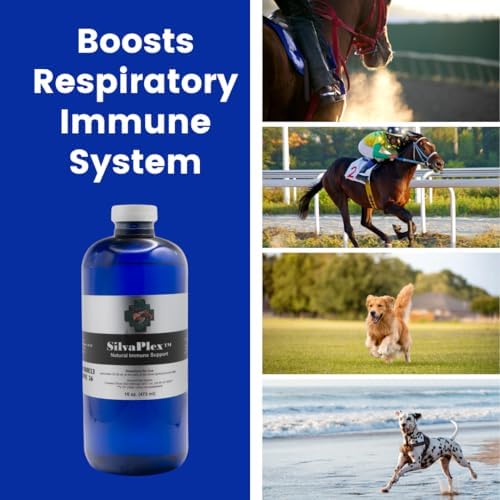 SilvaPlex veterinarian developed immune support for dogs cats and horses