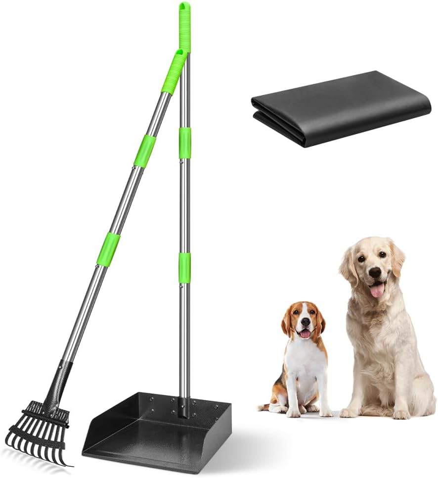 Heavy duty dog poop shovel tool set standing upright on a gravel pathway.