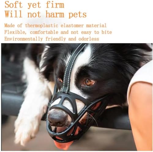 Dog wearing comfortable LH NTGR basket muzzle outside