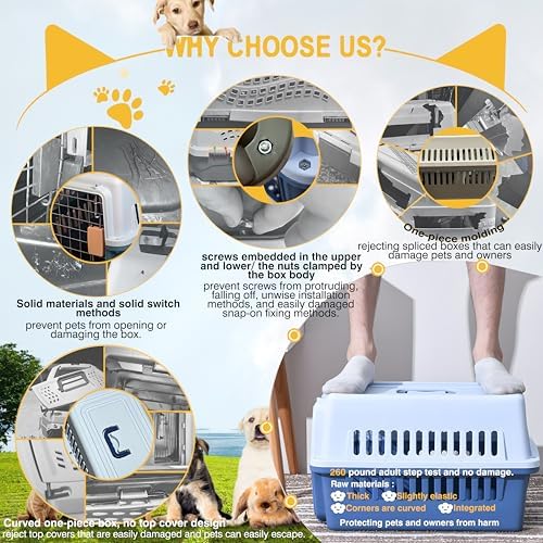 Open door view of LLGJ airline compliant pet carrier showing the spacious interior for cats