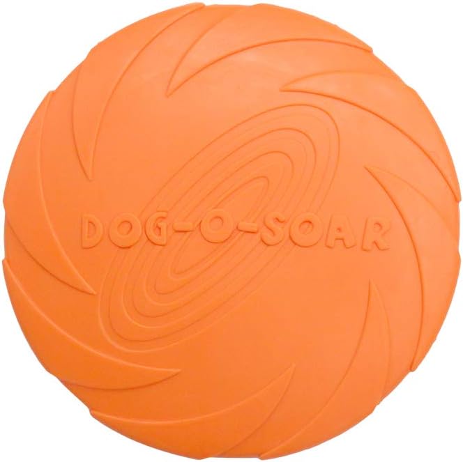 Pasking flying disc used as a water bowl for dog