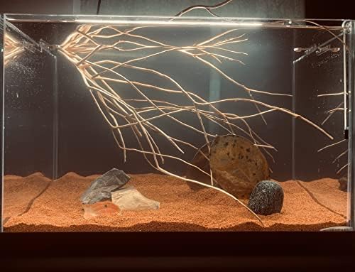 Natural red substrate landscape design for aquascaping