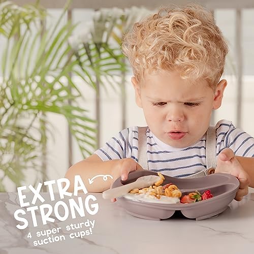 ChériKid silicone divided baby plate with suction base on high chair
