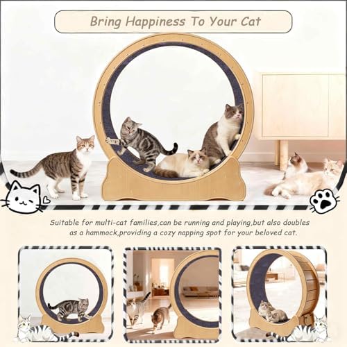 ZooVibe indoor cat workout wheel showcasing wrapped pet safe wooden edges