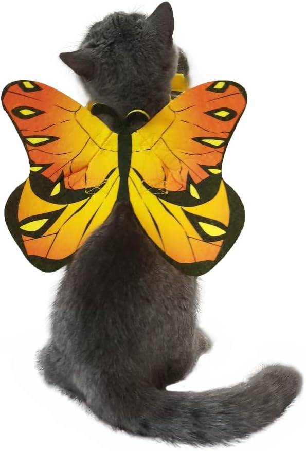 Pet Cat Bat Wings for Halloween Party Decoration, Puppy Collar Leads Cosplay Bat Costume,Cute Puppy Cat Dress Up Accessories - Image 9