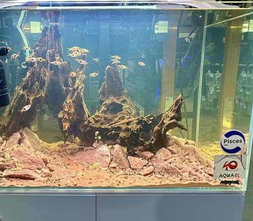 Aqua Natural Iwagumi Sand used in professional aquarium landscape