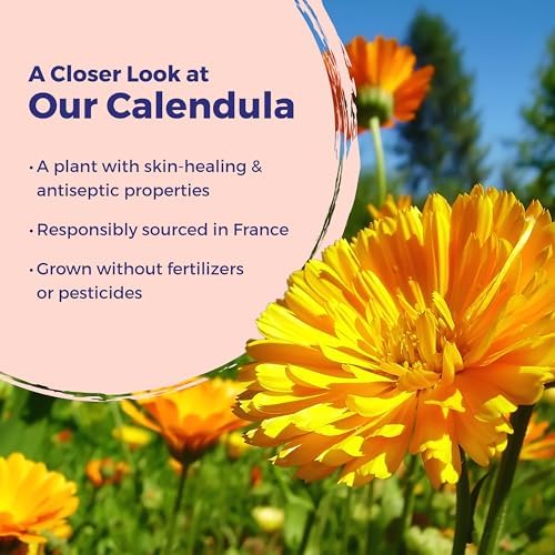 Travel size 1 ounce tube of Boiron Calendula for portable first aid and burn care.