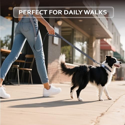 Heavy duty metal hardware clip and adjustment buckle on the JC HOUSE premium pet leash.