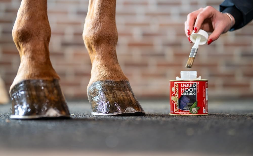 Authentic Kevin Bacon's liquid hoof dressing packaging for preventing horse hoof cracks