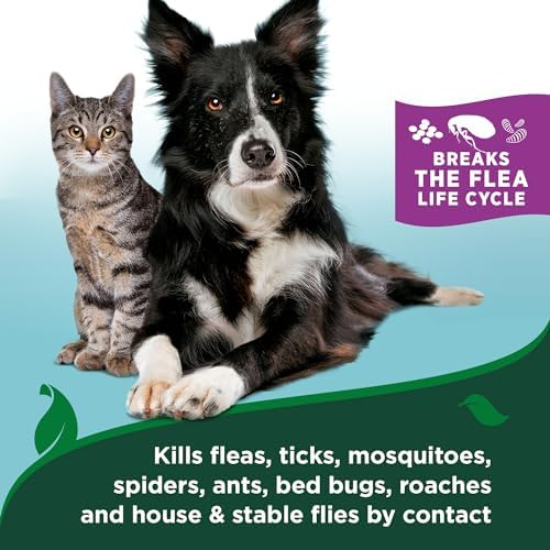 Vet's Best 5 ounce flea and tick waterless foam for kittens