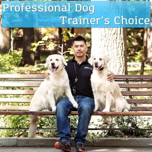 Dog wearing PetSpy training collar outdoors