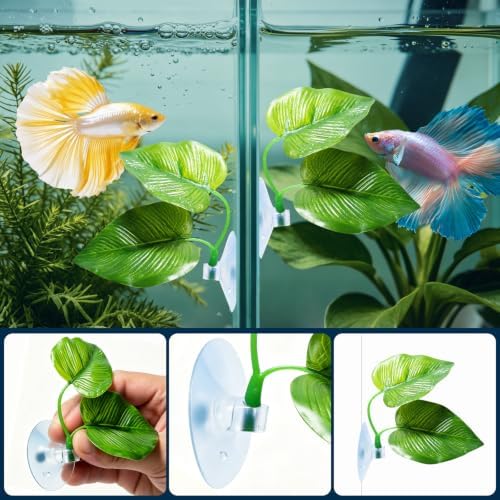 Installed view of the double leaf betta hammock submerged two inches below the water line