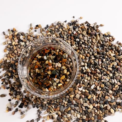 Comparison of sand grain size for aquarium landscaping