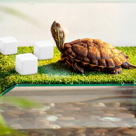 DQITJ calcium mineral blocks for tortoises and chameleons health care