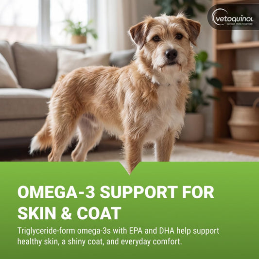 Authentic imported pet omega 3 fish oil liquid with pump dispenser