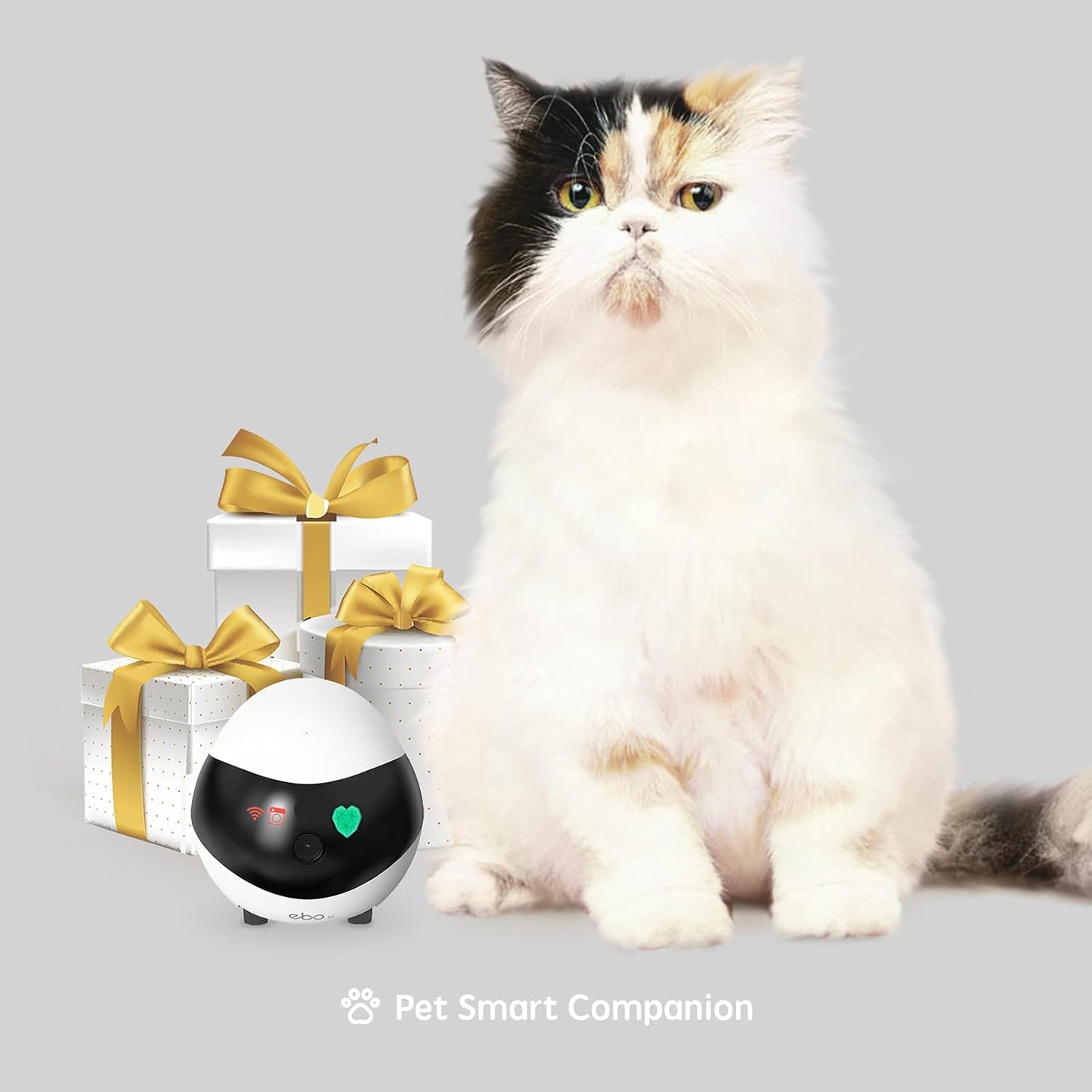 Complete retail packaging of the USA imported Enabot home surveillance robot with included charging accessories.