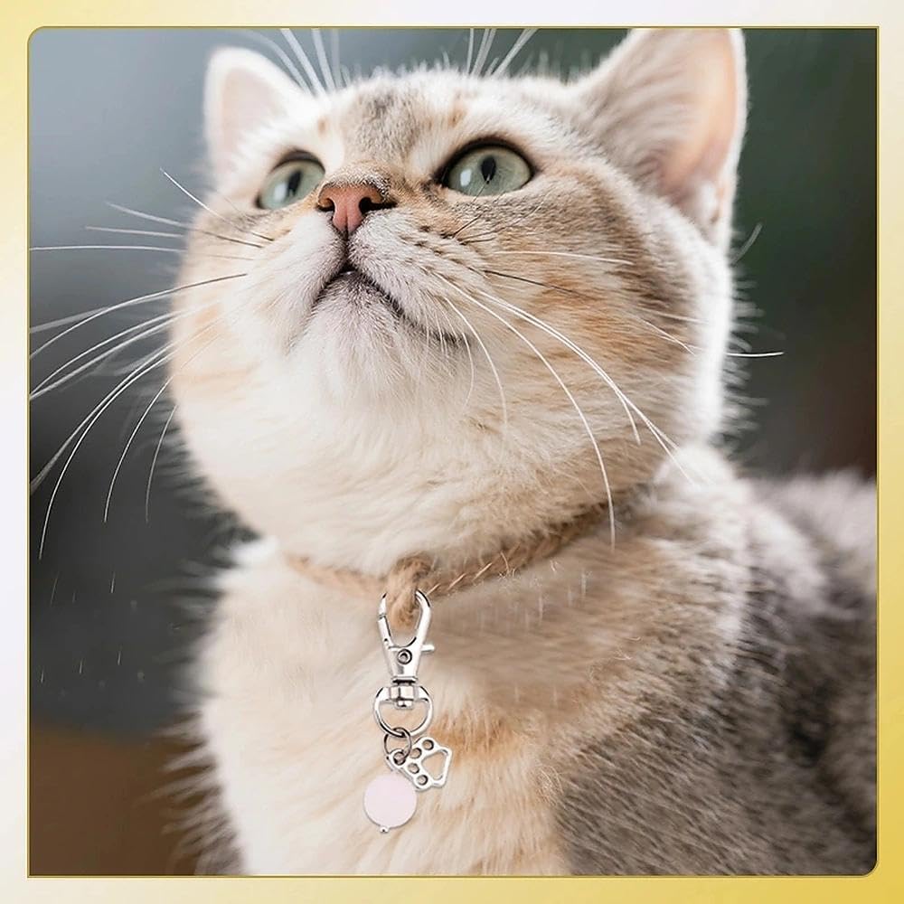 Authentic Ancnoz cat collar accessory for everyday wear.